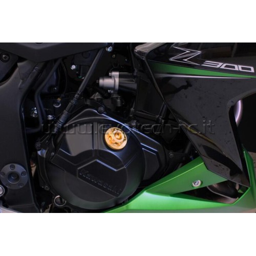 ΤΑΠΑ ΛΑΔΙΟΥ EVOTECH ΓΙΑ KAWASAKI - Τιτάνιο